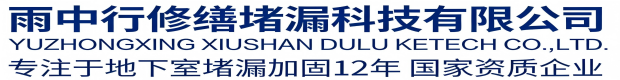 丰台雨中行堵漏工程有限公司
